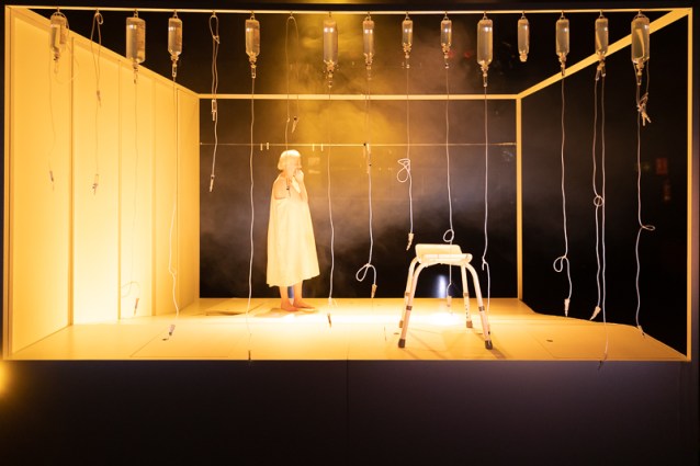 FotosEscena_MariaTeresayelLeon (1269 de 1757)